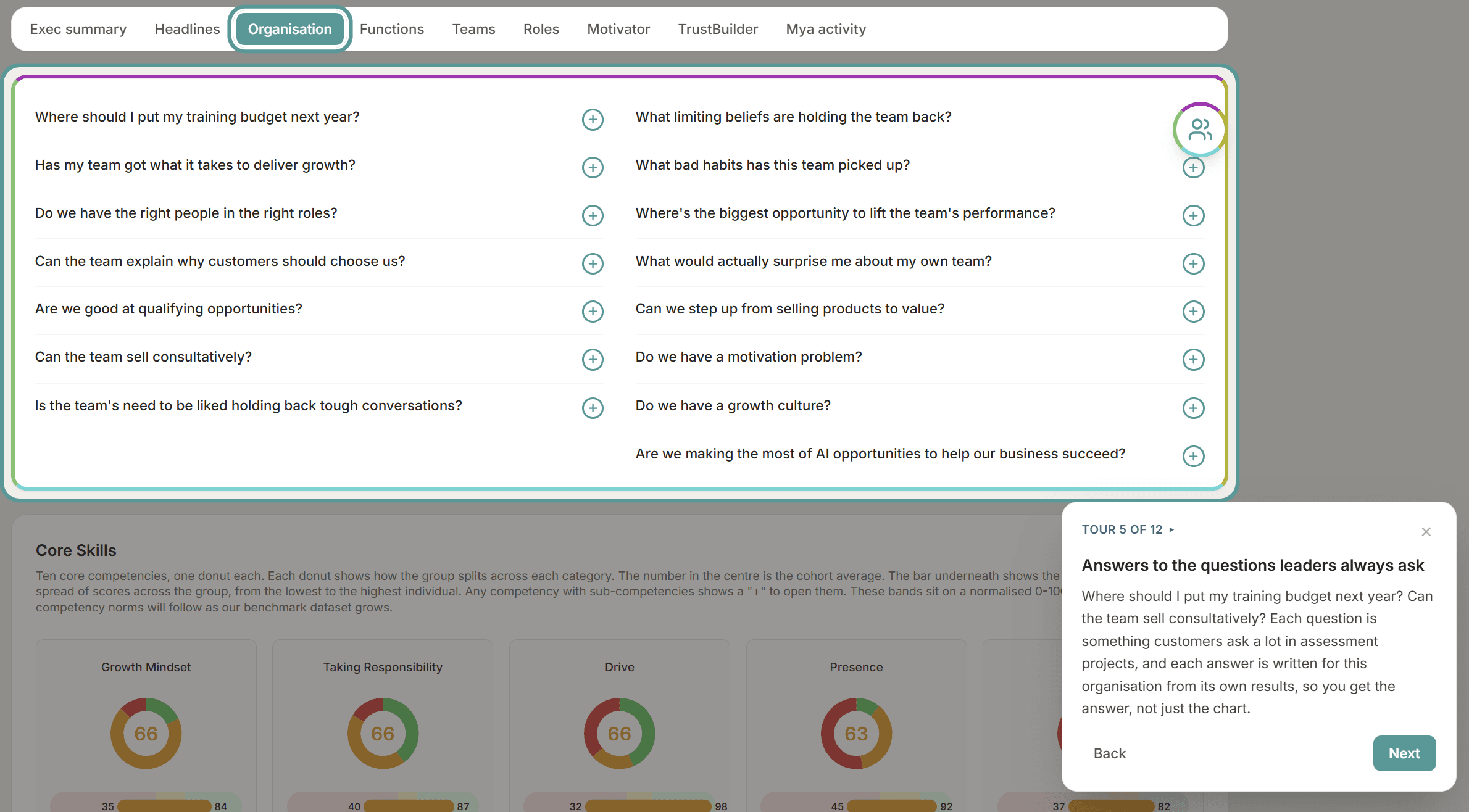 The Organisation tab of the sample report: leaders' questions, each with a written answer, and the guided tour